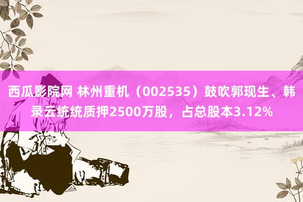 西瓜影院网 林州重机（002535）鼓吹郭现生、韩录云统统质押2500万股，占总股本3.12%