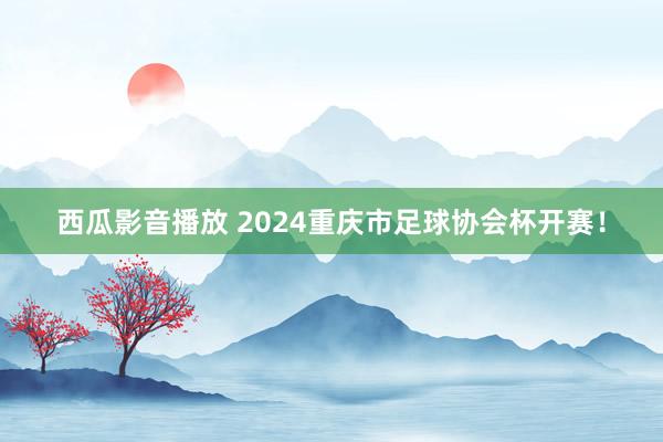 西瓜影音播放 2024重庆市足球协会杯开赛！