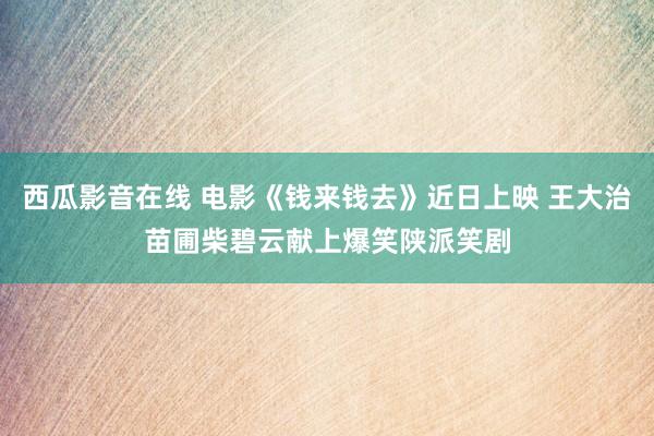 西瓜影音在线 电影《钱来钱去》近日上映 王大治苗圃柴碧云献上爆笑陕派笑剧