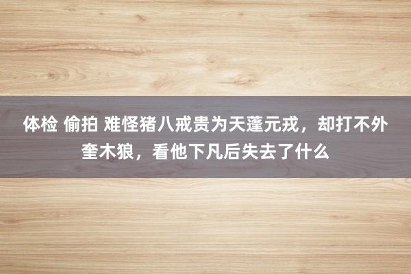 体检 偷拍 难怪猪八戒贵为天蓬元戎，却打不外奎木狼，看他下凡后失去了什么