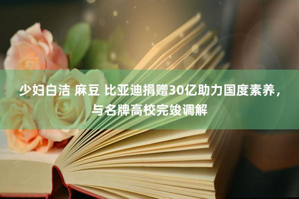 少妇白洁 麻豆 比亚迪捐赠30亿助力国度素养，与名牌高校完竣调解