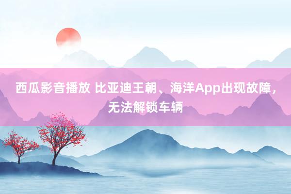 西瓜影音播放 比亚迪王朝、海洋App出现故障，无法解锁车辆