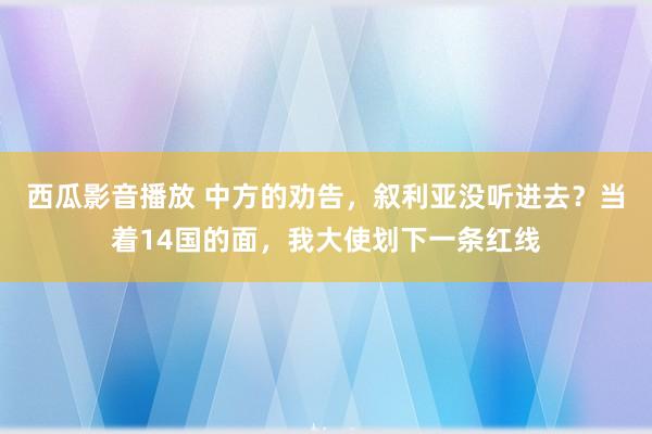 西瓜影音播放 中方的劝告，叙利亚没听进去？当着14国的面，我大使划下一条红线