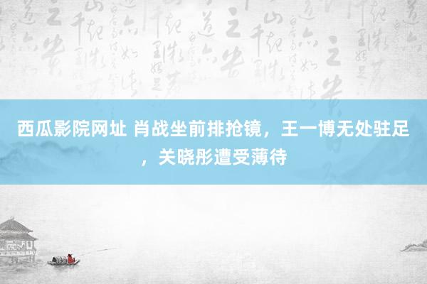 西瓜影院网址 肖战坐前排抢镜，王一博无处驻足，关晓彤遭受薄待