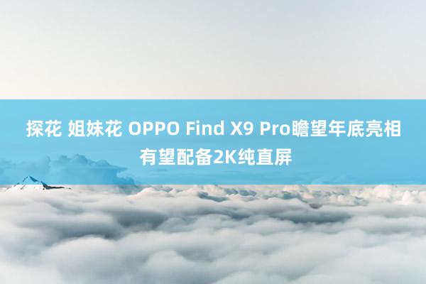 探花 姐妹花 OPPO Find X9 Pro瞻望年底亮相 有望配备2K纯直屏