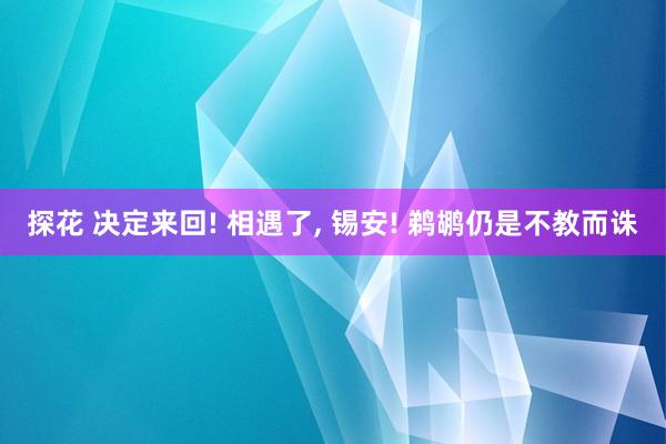 探花 决定来回! 相遇了, 锡安! 鹈鹕仍是不教而诛